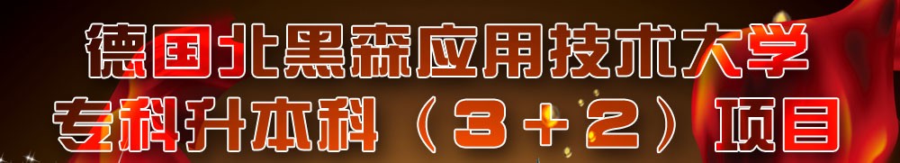 德國北黑森應用技術大學，?？粕究疲?+2）項目