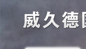 威久德國語言考試實用手冊