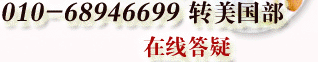 Ԓ01068946699D(zhun)(gu) ھ
