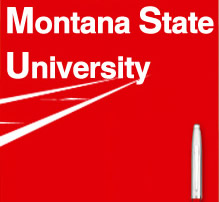 Montana State University