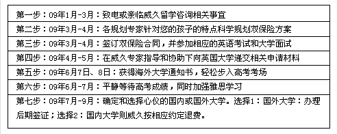 雙保險計劃流程