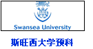 斯旺西大學預科