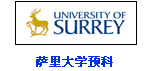 薩里大學預科